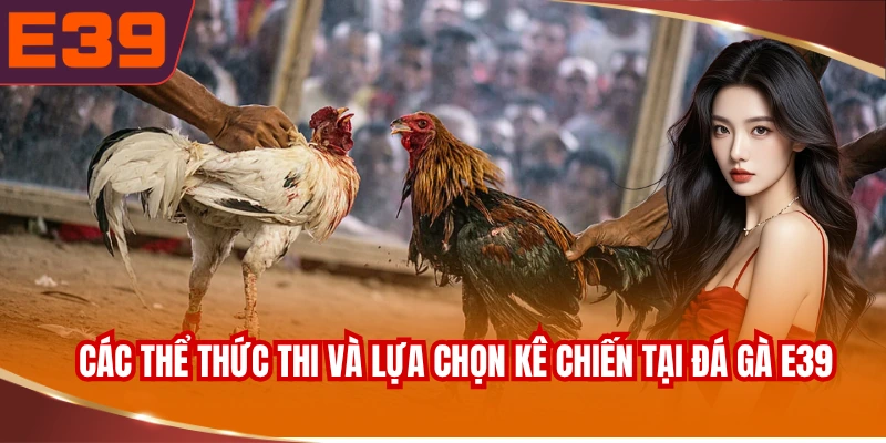 Các thể thức thi và lựa chọn kê chiến tại đá gà E39
