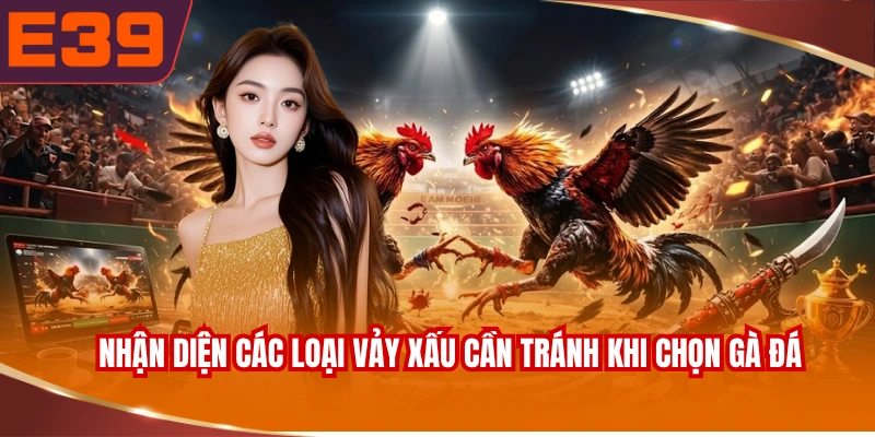 Nhận diện các loại vảy xấu cần tránh khi chọn gà đá